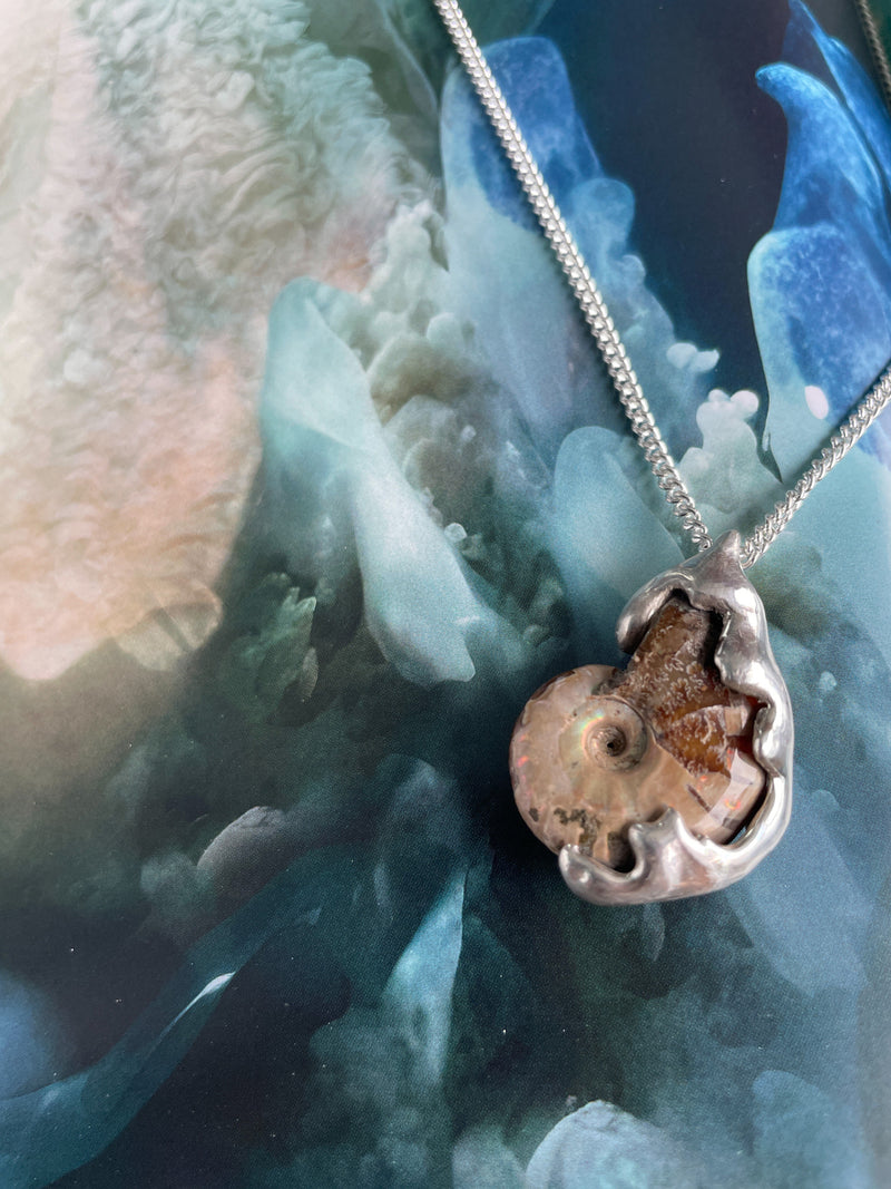 Fossil Ammonite ID Necklace in Silver