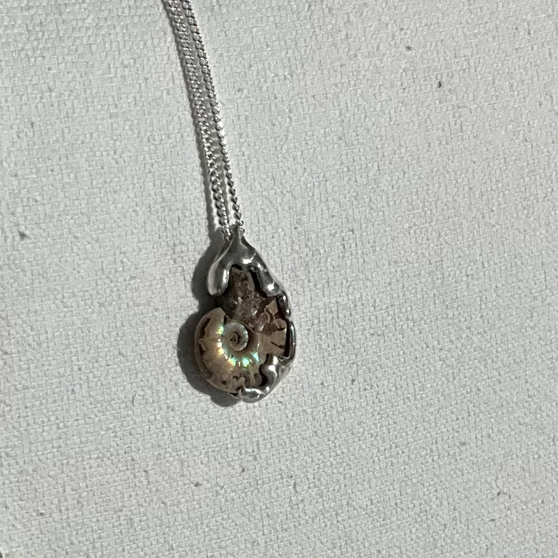 Fossil Ammonite ID Necklace in Silver