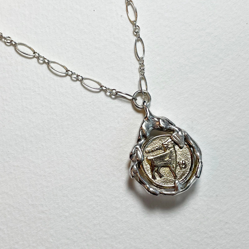 Garden tear zodiac coin necklace