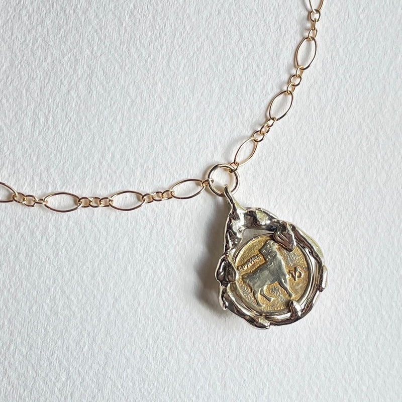 Garden tear zodiac coin necklace