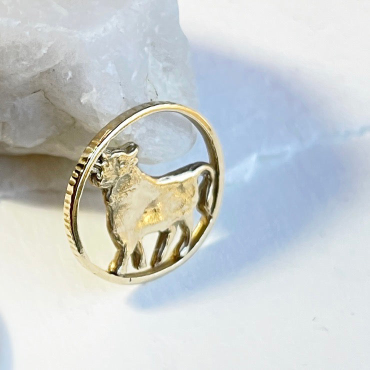 14k Gold Cutting Edge Zodiac Coin Charm