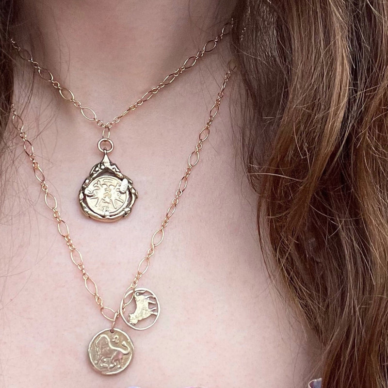 Garden tear zodiac coin necklace